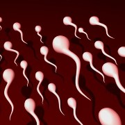 Sexual Health related image